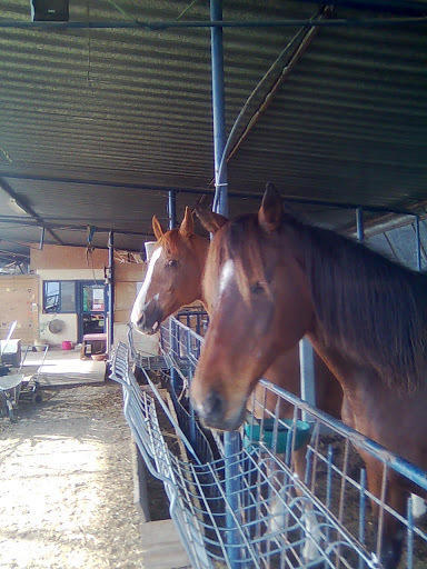 Yarok Az - Ecolodge Farm Ilaniya Eksteriør billede