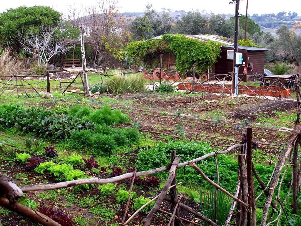 Yarok Az - Ecolodge Farm Ilaniya Eksteriør billede