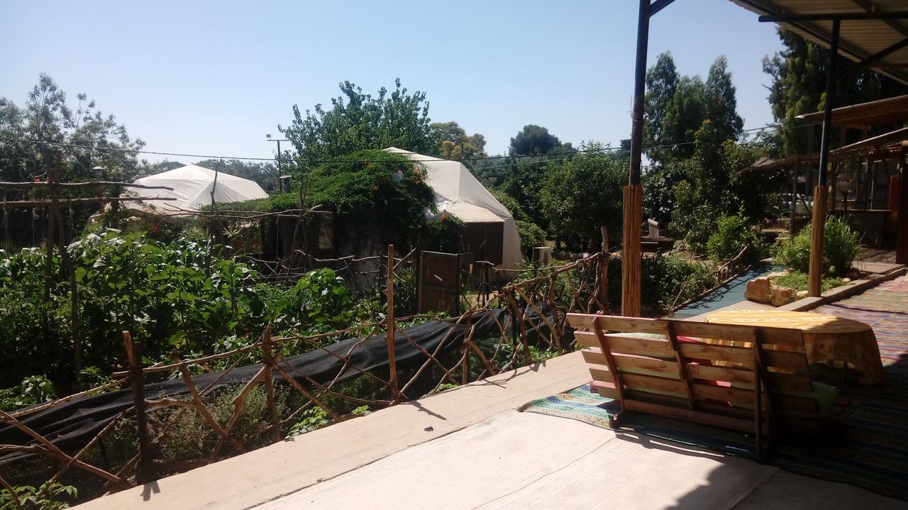 Yarok Az - Ecolodge Farm Ilaniya Eksteriør billede